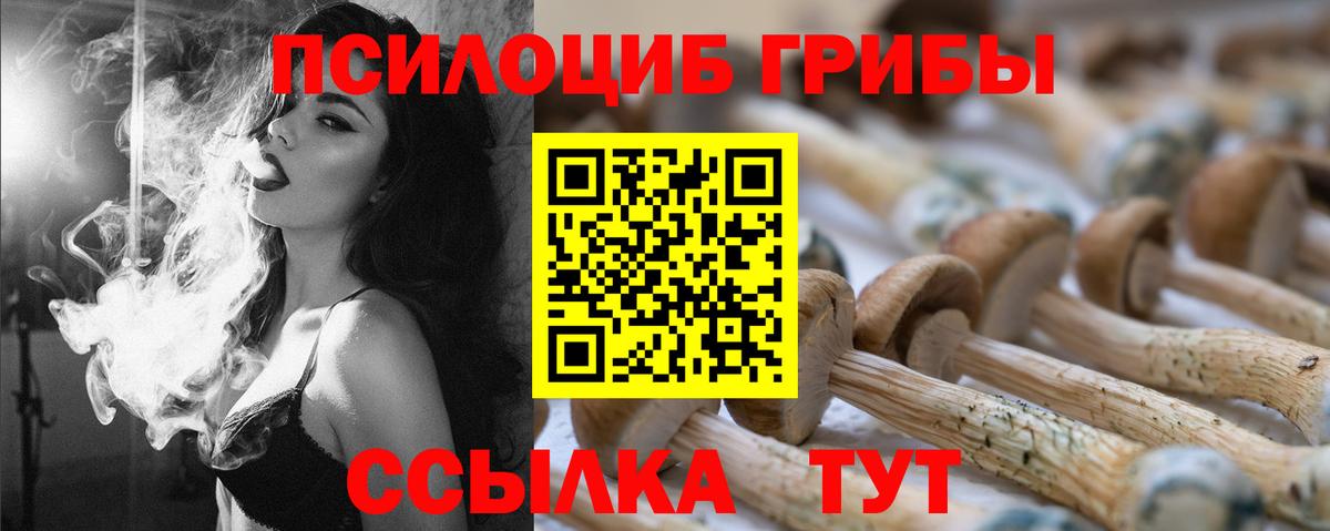 Балашиха  Псилоцибиновые грибы ЛСД  Вход с VPN 