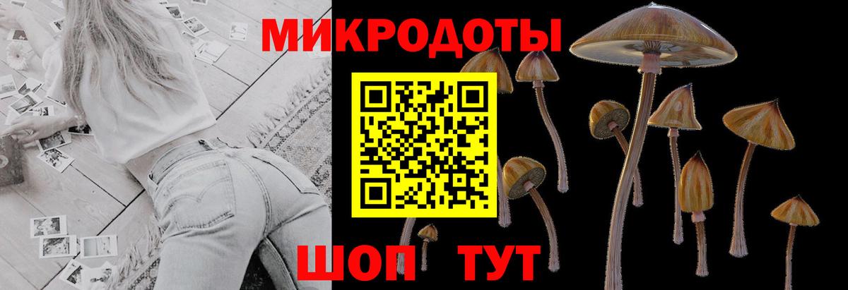 Псилоцибиновые грибы Magic Shrooms Балашиха